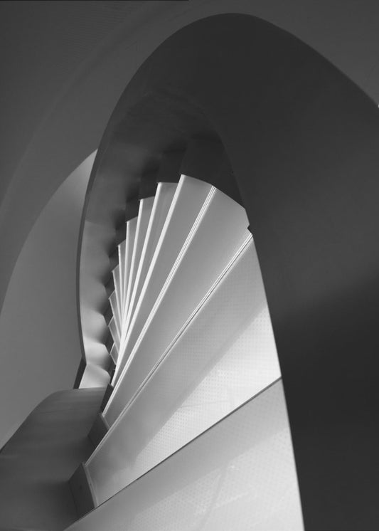 Straight and curves lines | Canvas