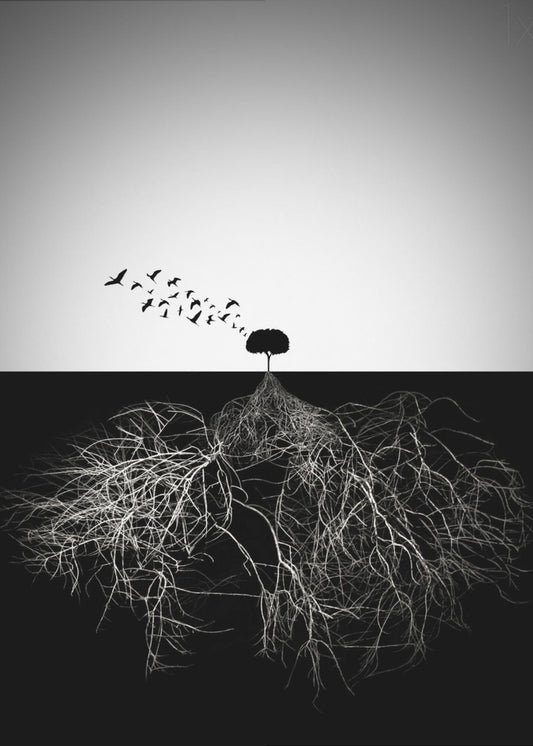 Do not judge according to appearance | Canvas