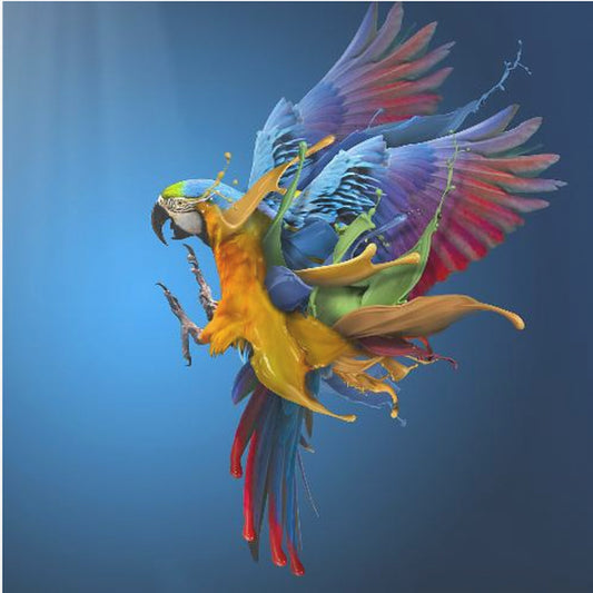 Flying Colours | Poster