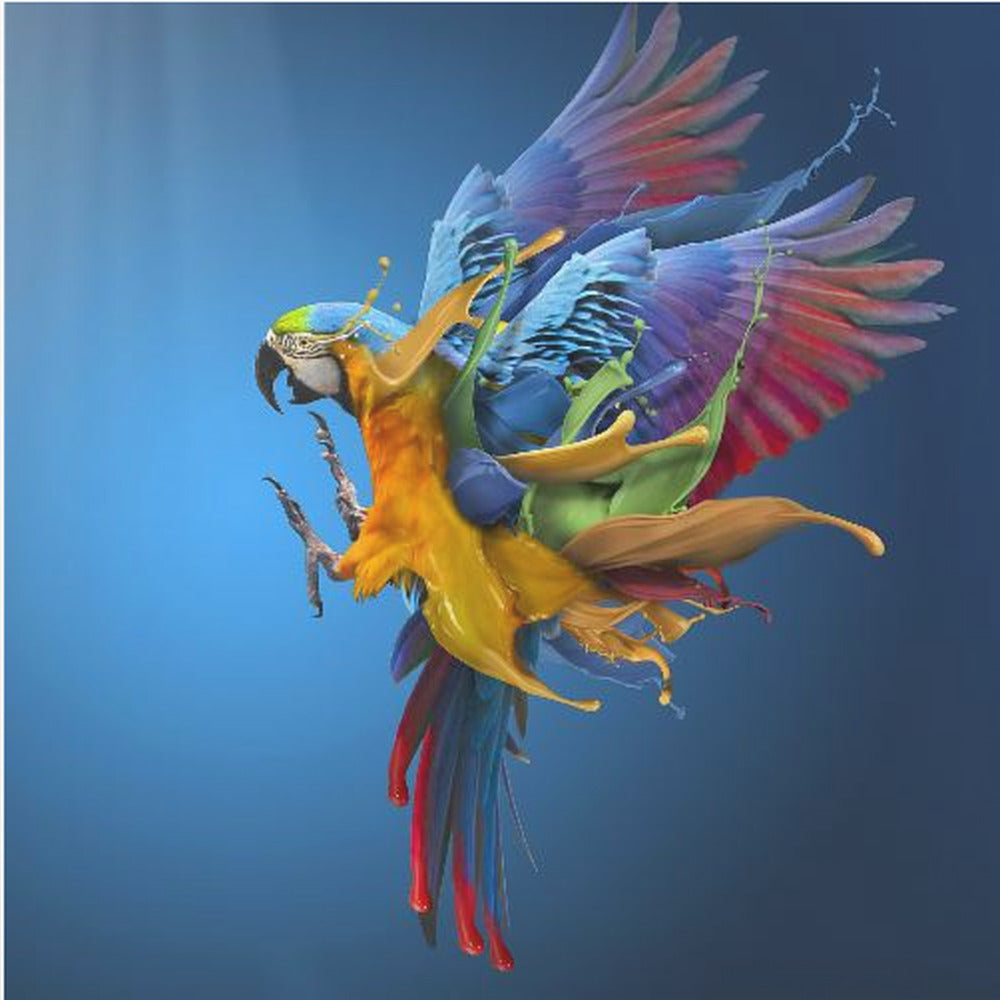 Flying Colours | Poster