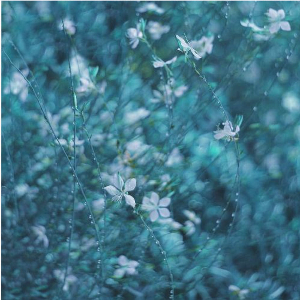 In the middle of a dream | Poster