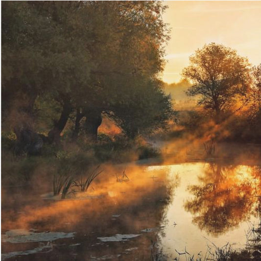 When nature paints with light I | Canvas