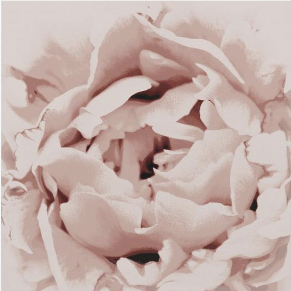 Delicate Peony Flower | Poster