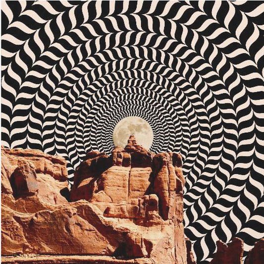 The Real Road Trip | Canvas