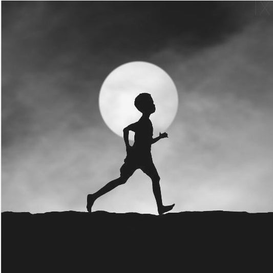 The Dream Catcher | Canvas