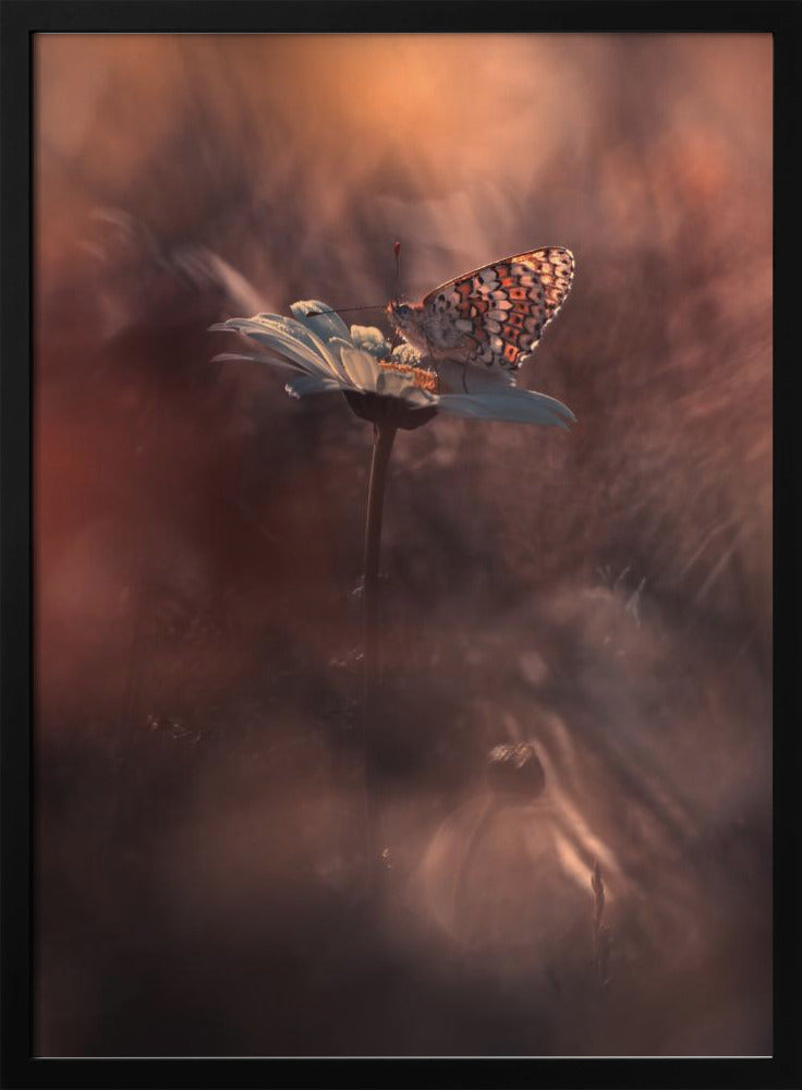 Pyrotechnics | Poster