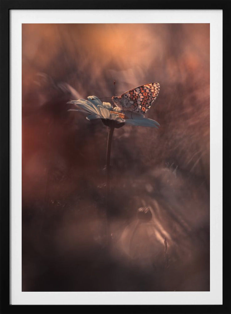 Pyrotechnics | Poster