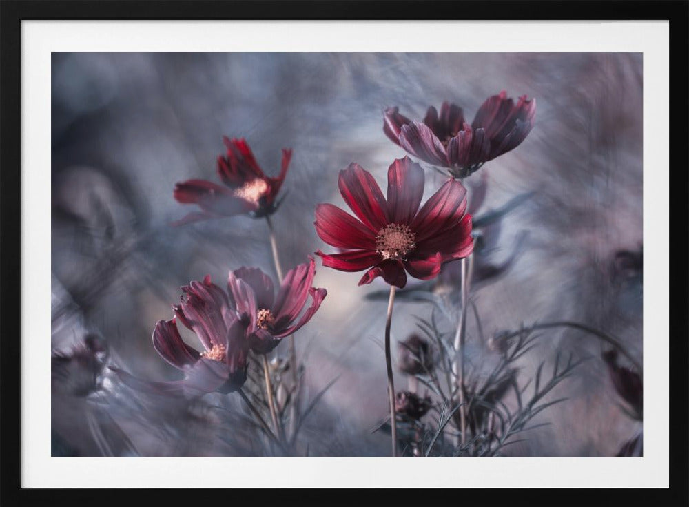 Cosmoslicious | Poster