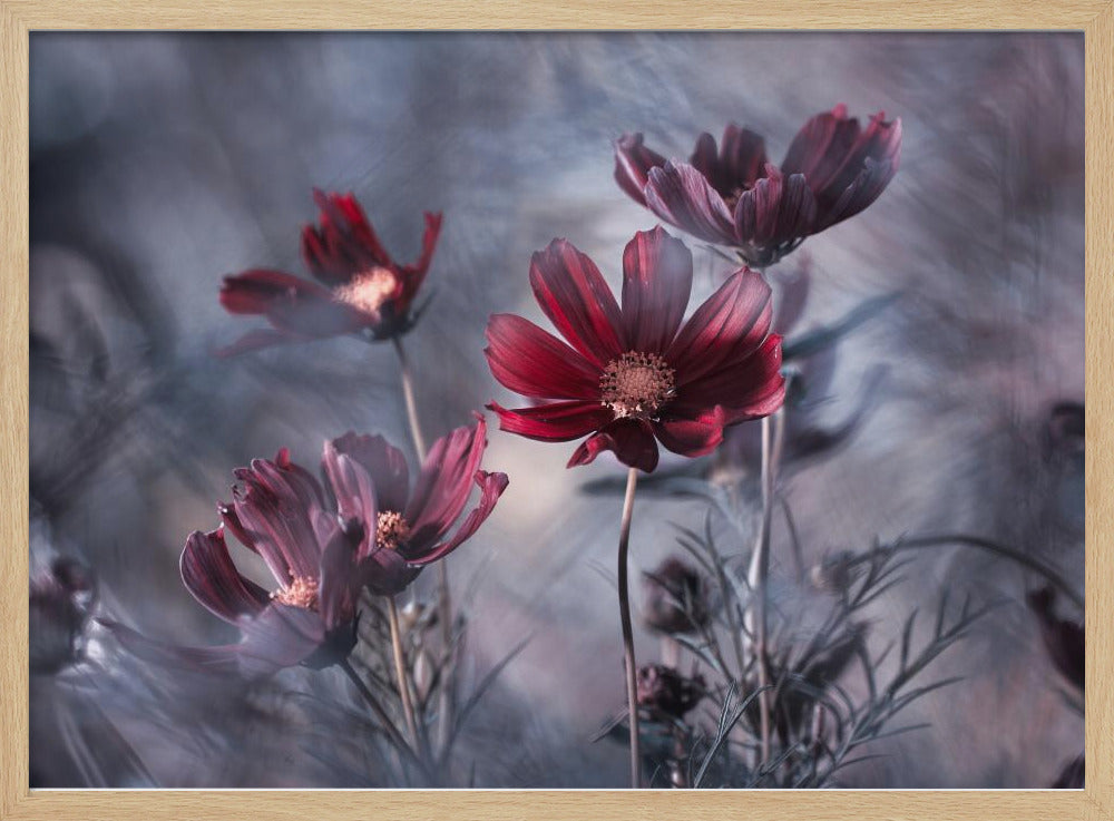 Cosmoslicious | Poster