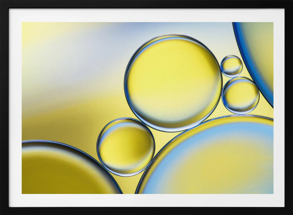 Oil and water | Poster