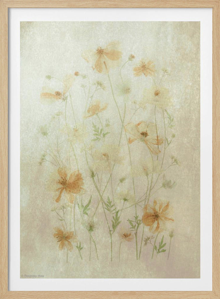 Yellow Cosmos | Poster