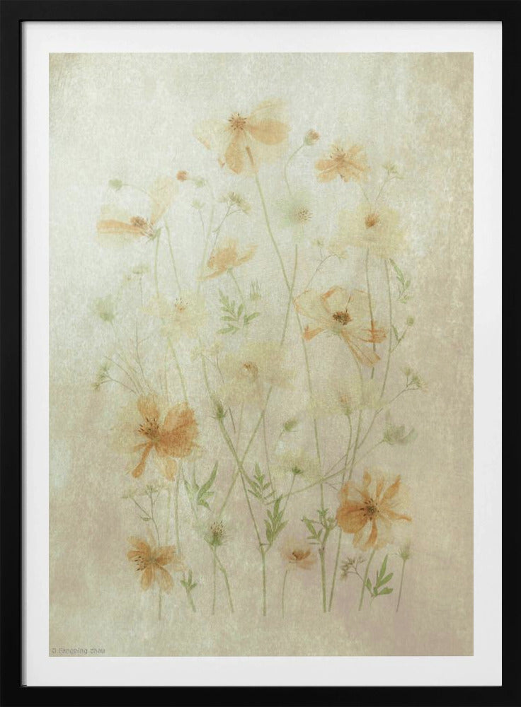 Yellow Cosmos | Poster