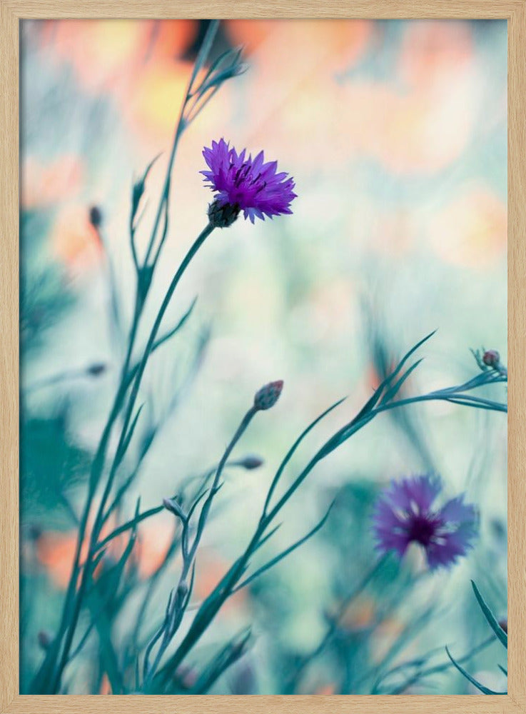 Colors game 2 | Poster