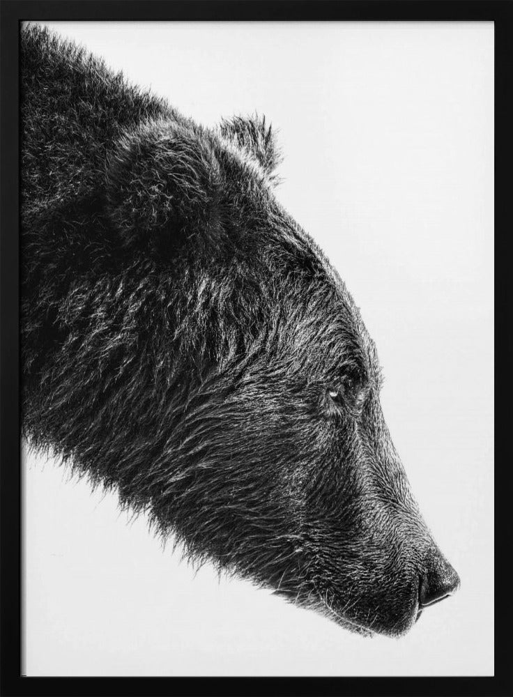 The Salmon Catcher | Poster