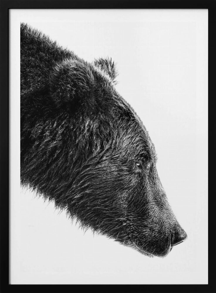 The Salmon Catcher | Poster