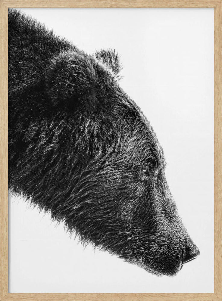 The Salmon Catcher | Poster