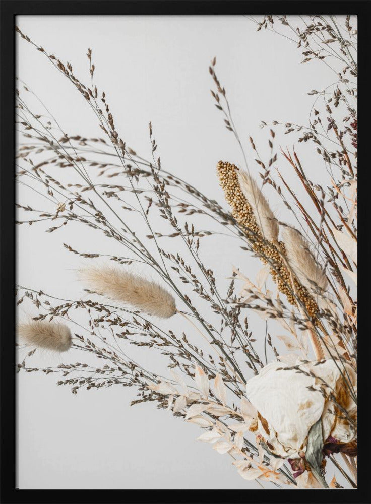 Dried_008 | Poster