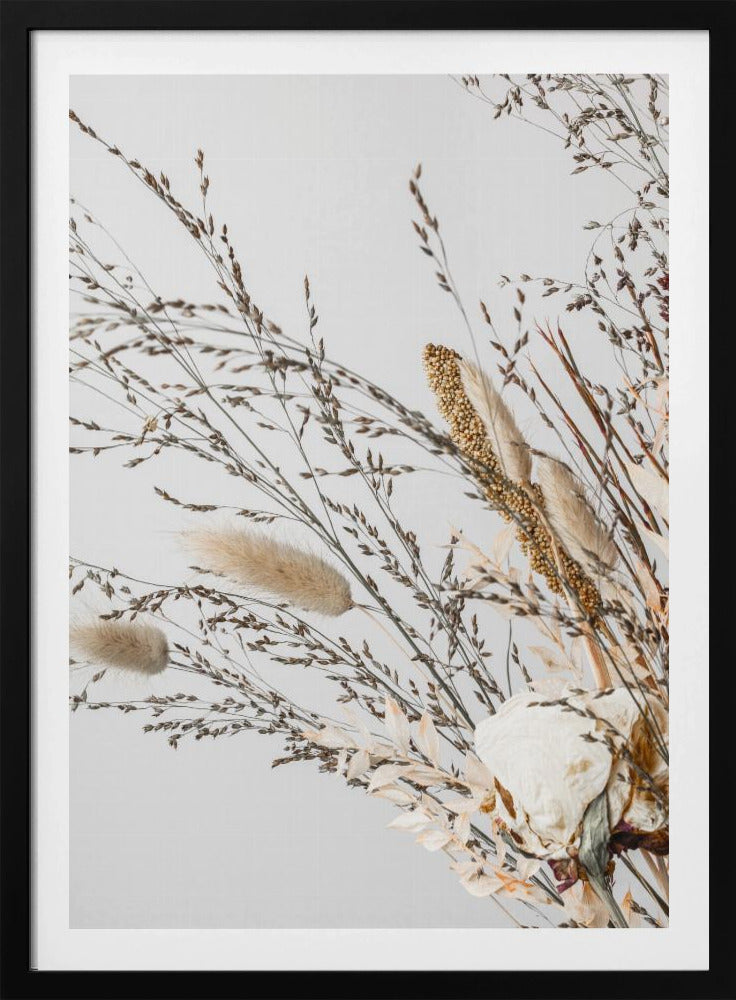 Dried_008 | Poster