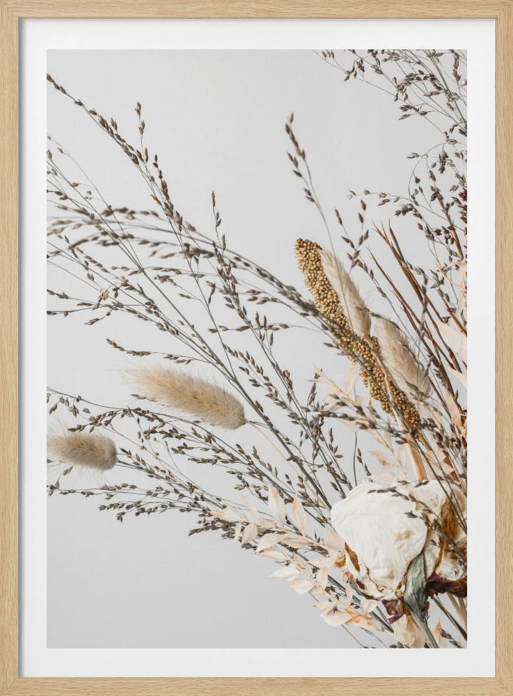 Dried_008 | Poster
