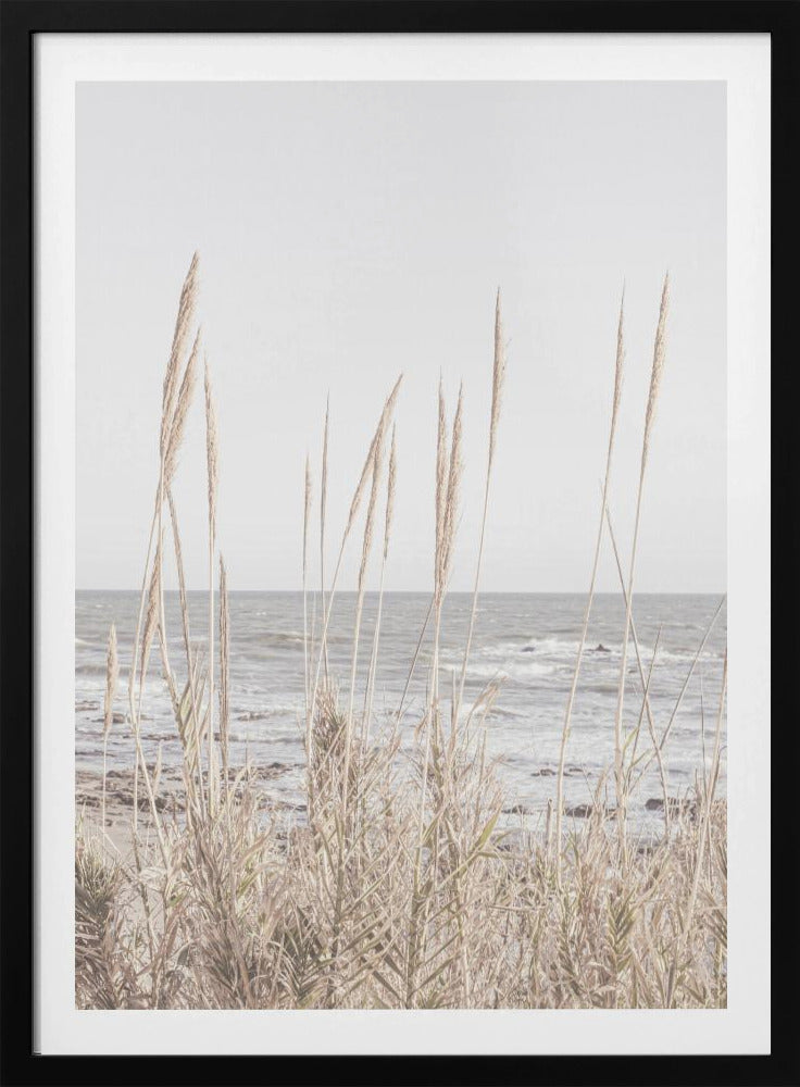 Beach_Vass_001 | Poster