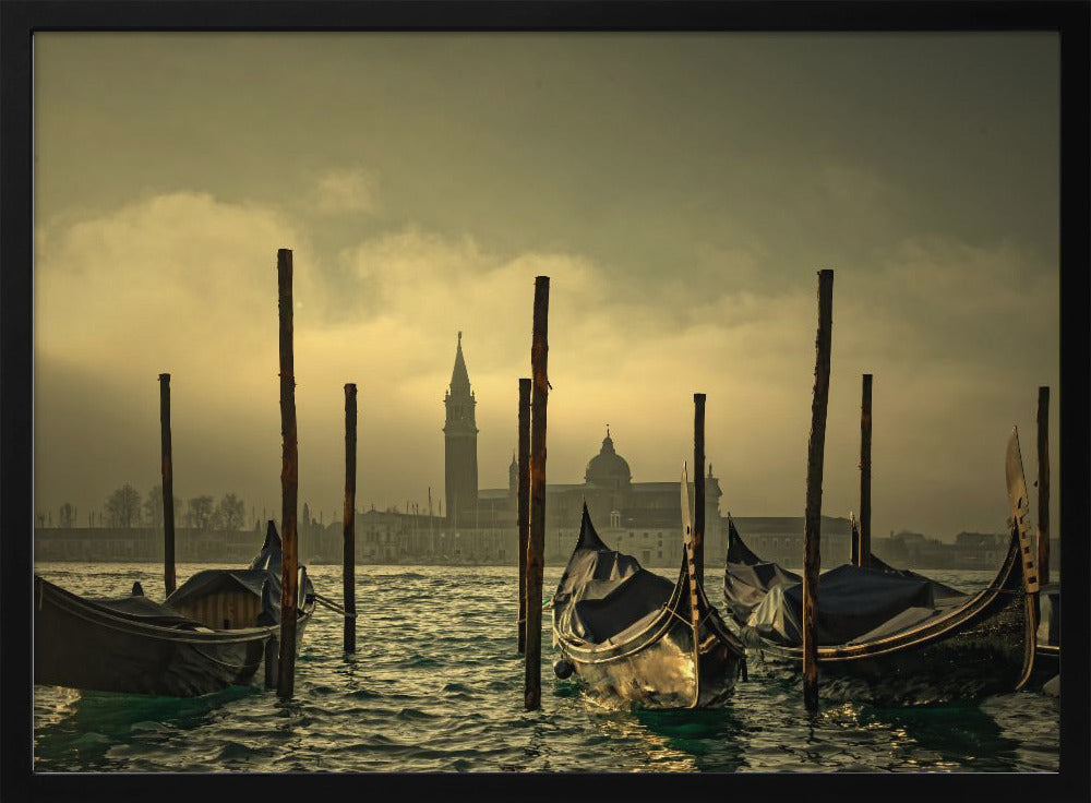 Light in the mist | Poster