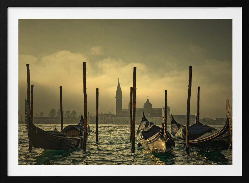 Light in the mist | Poster