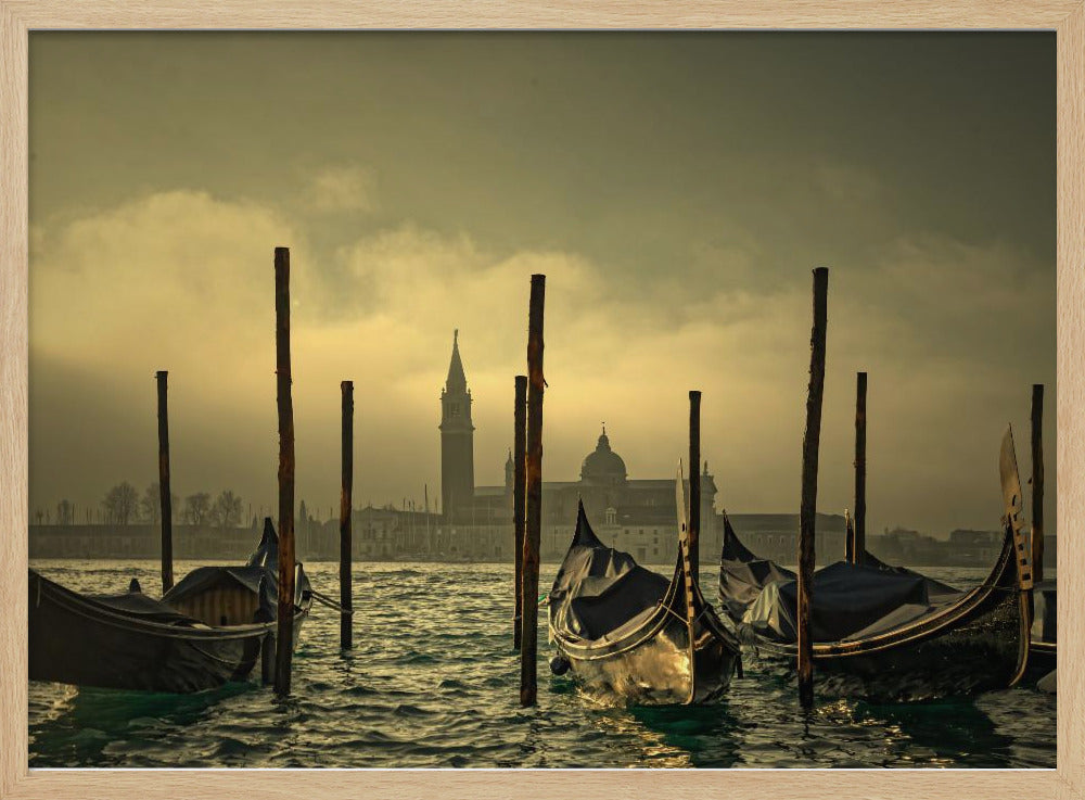 Light in the mist | Poster