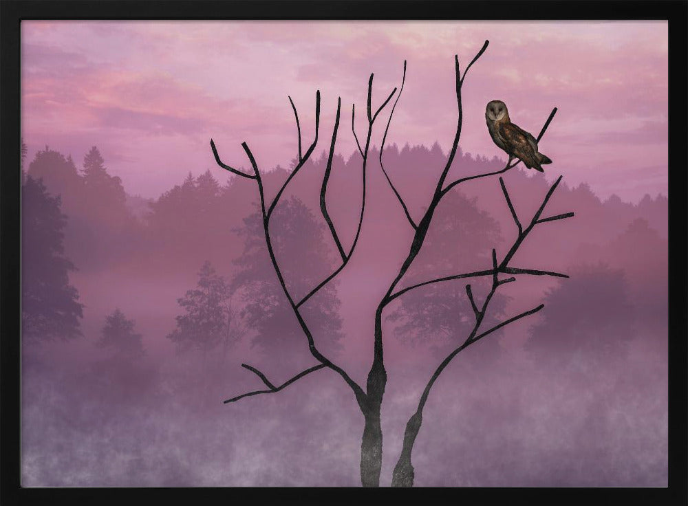 Pink Sky in the Morning | Poster