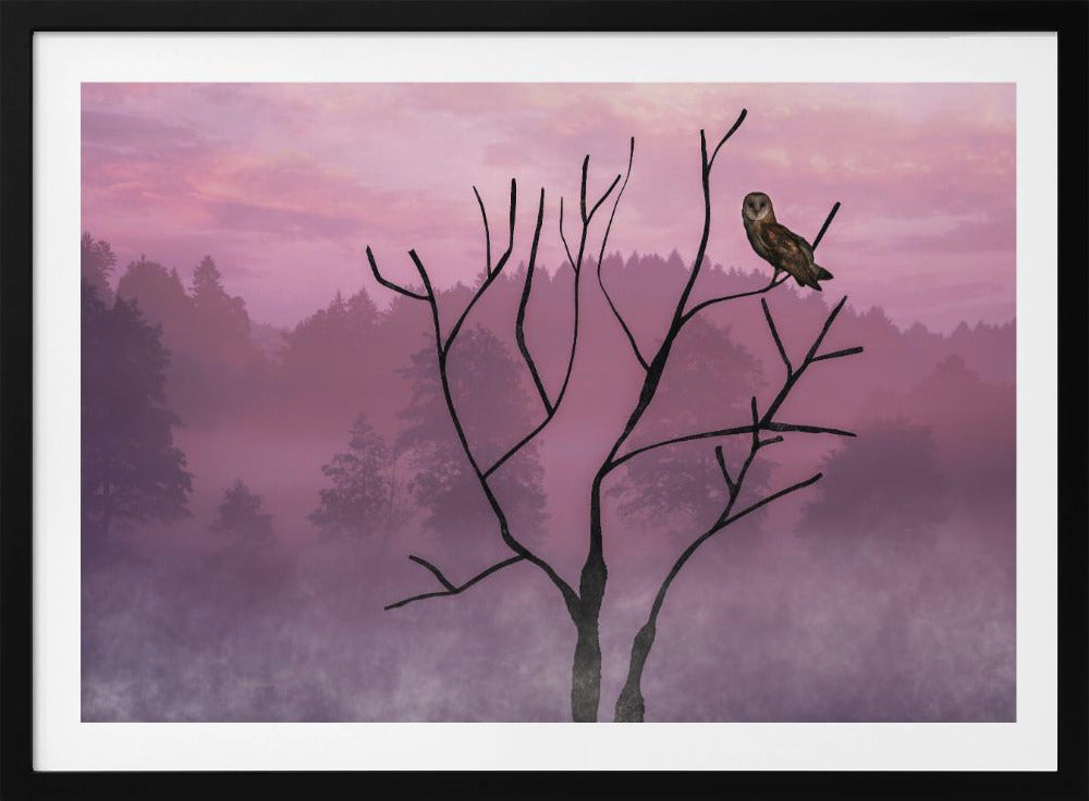 Pink Sky in the Morning | Poster