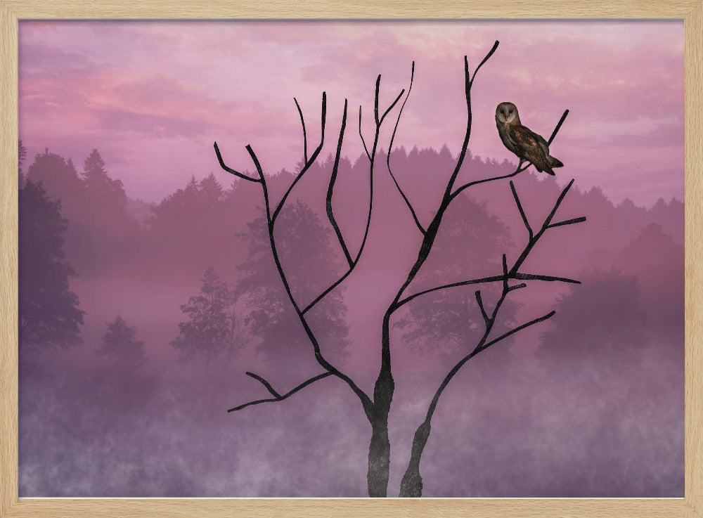 Pink Sky in the Morning | Poster