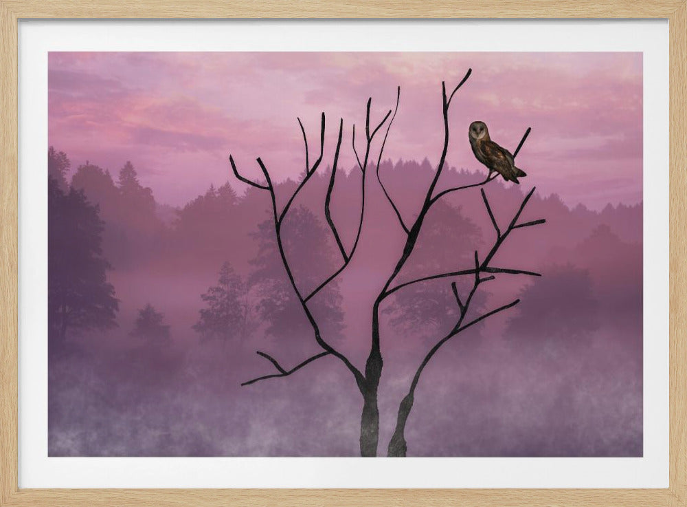 Pink Sky in the Morning | Poster