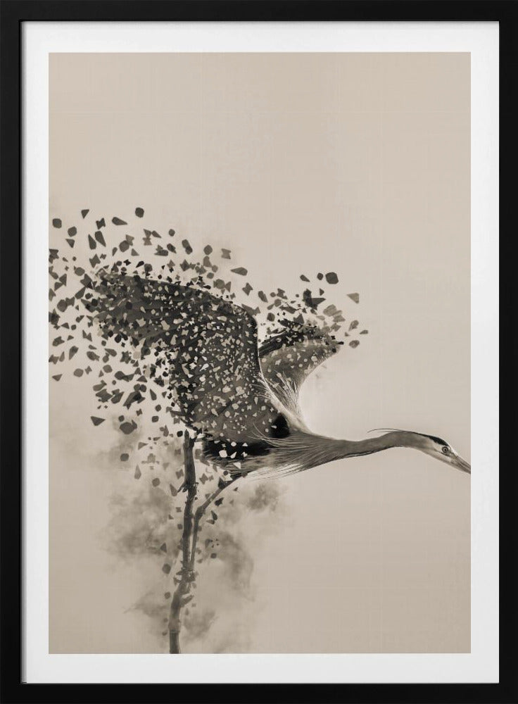 A Blue Heron | Poster