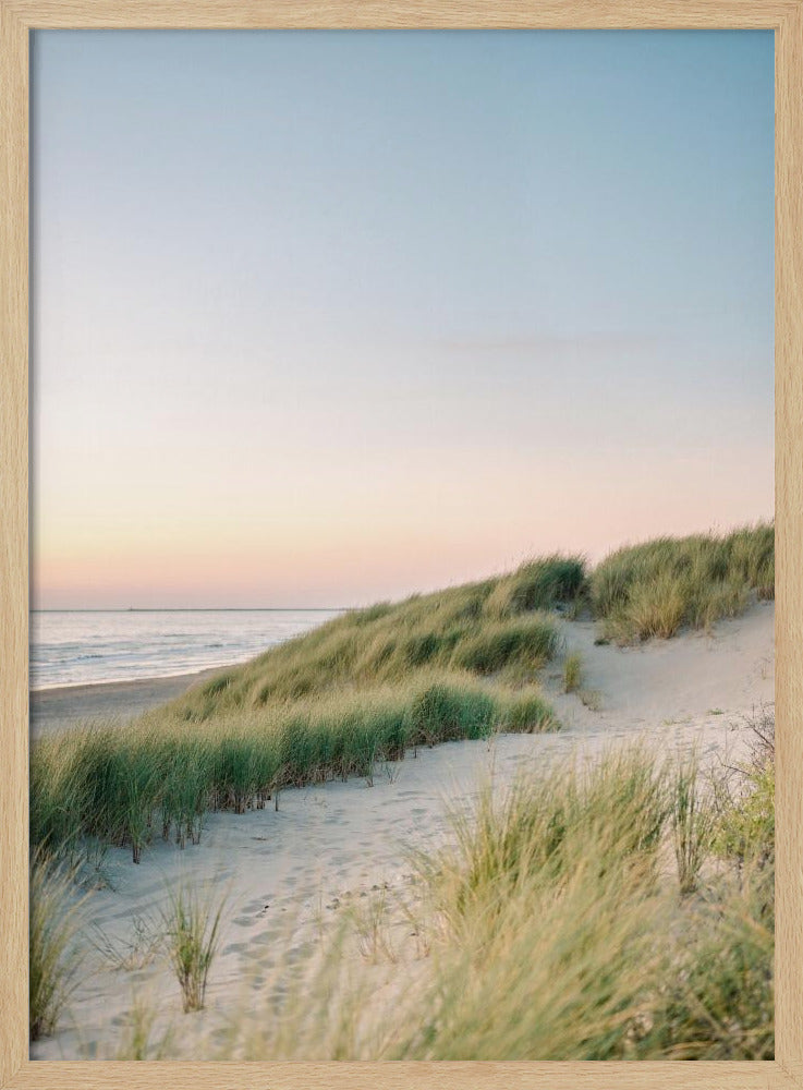 Dutch Dunes | Poster
