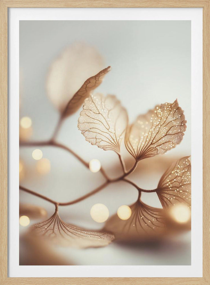 Fragile Elegance | Poster