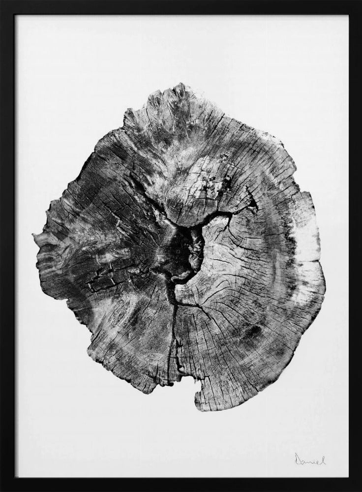 Oak Log | Poster