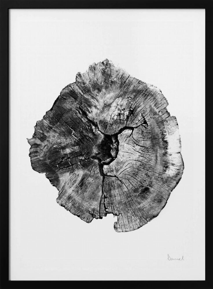 Oak Log | Poster