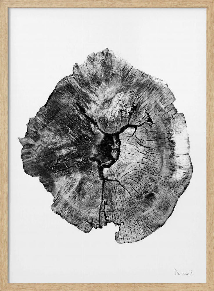 Oak Log | Poster