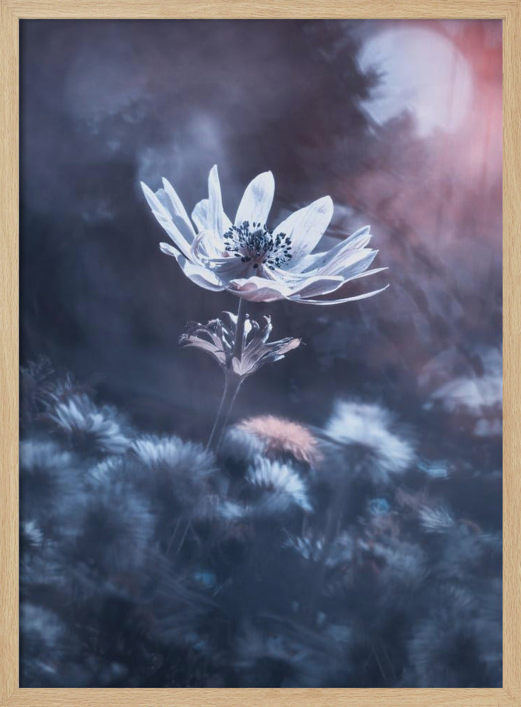 The divine sound of creation | Poster