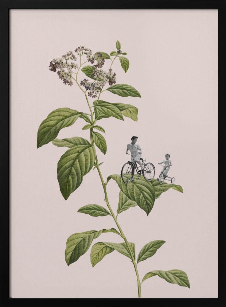 Botanical cycling | Poster