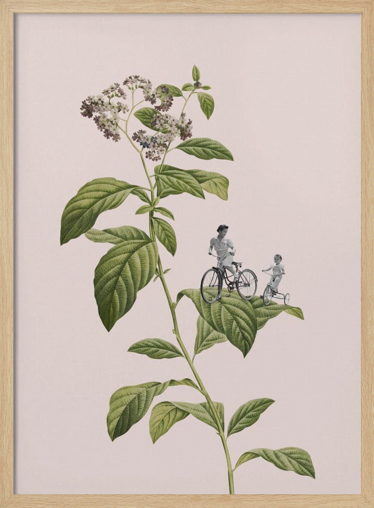 Botanical cycling | Poster
