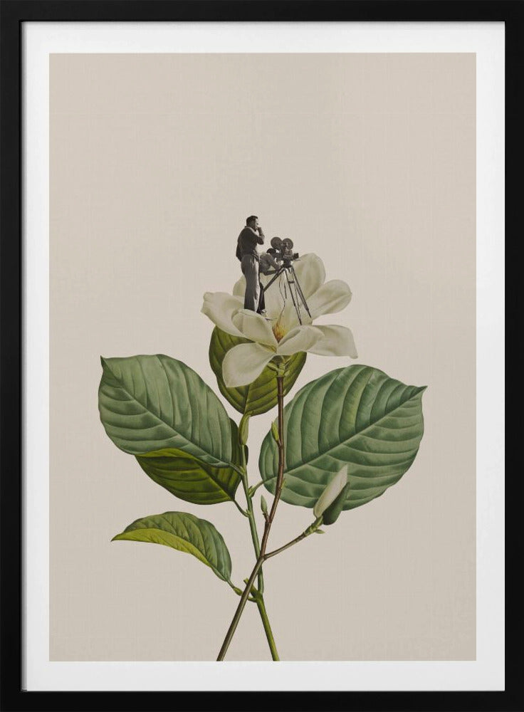 Botanical vintage cameraman | Poster