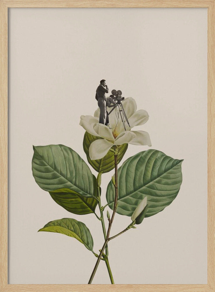 Botanical vintage cameraman | Poster