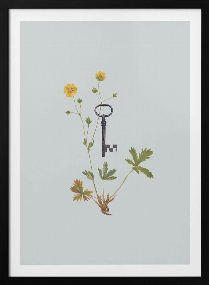 Botanical vintage key | Poster