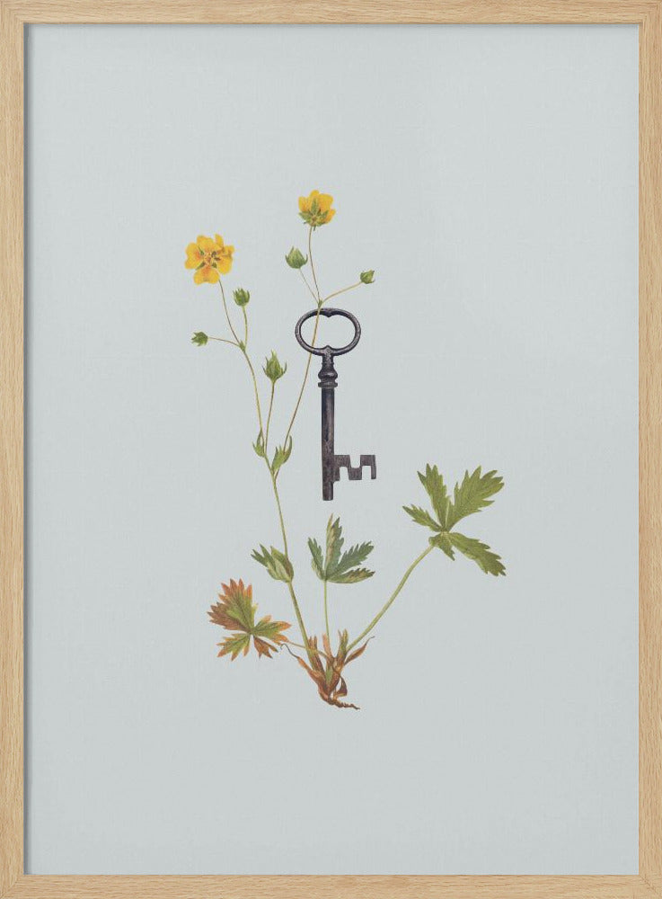 Botanical vintage key | Poster