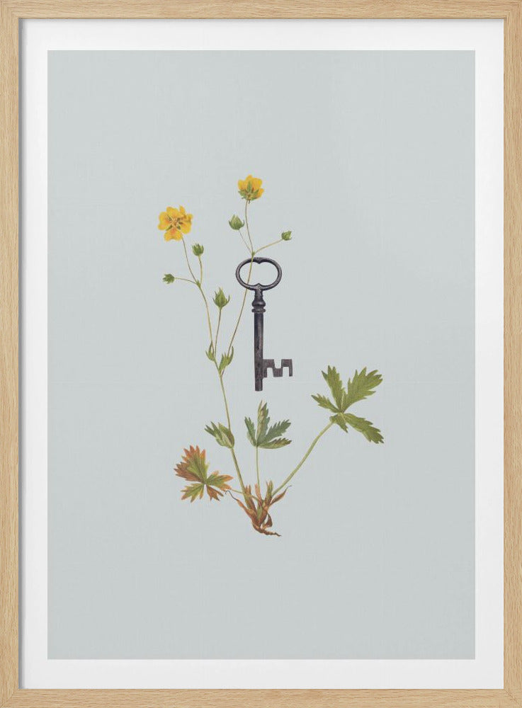 Botanical vintage key | Poster
