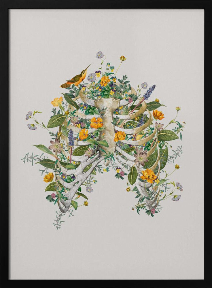 Floral thorax | Poster