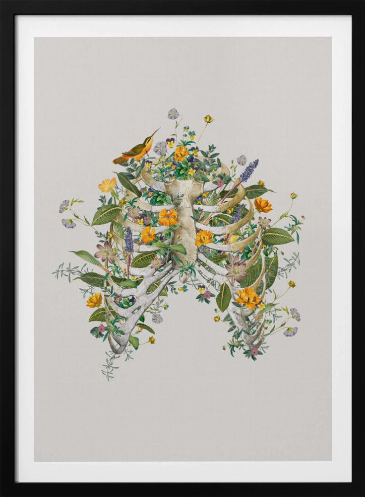 Floral thorax | Poster