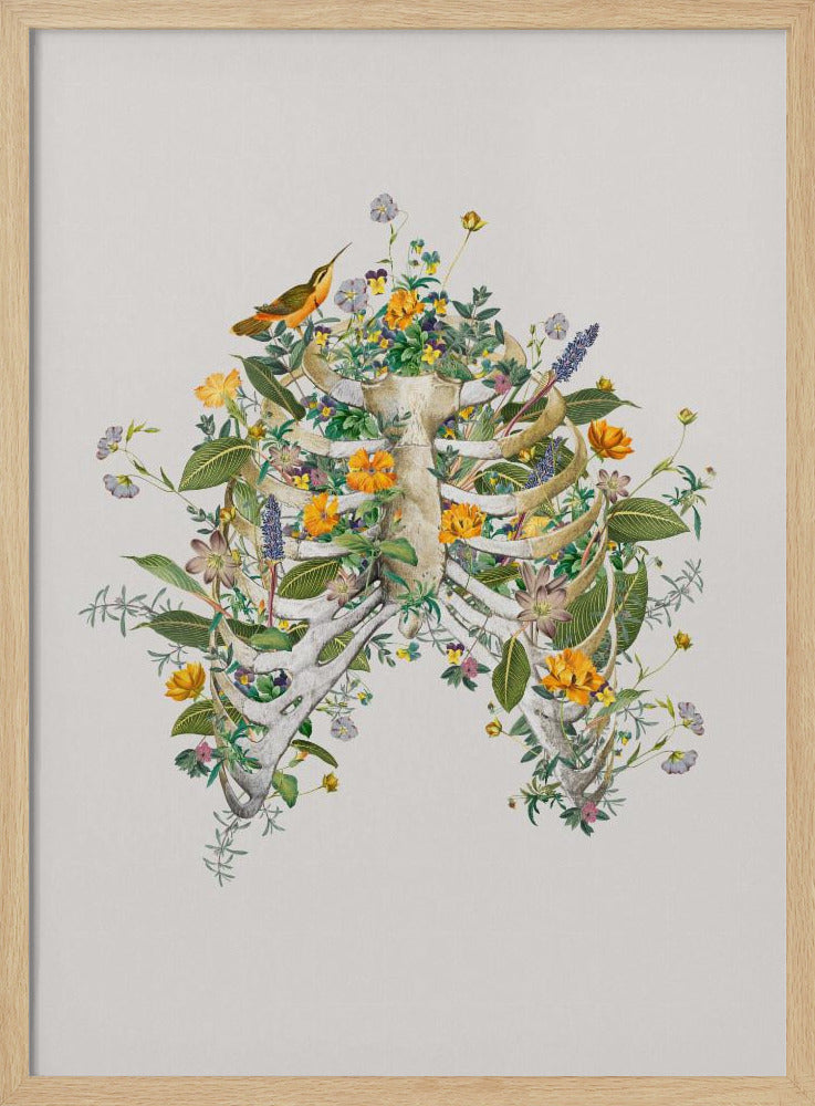 Floral thorax | Poster