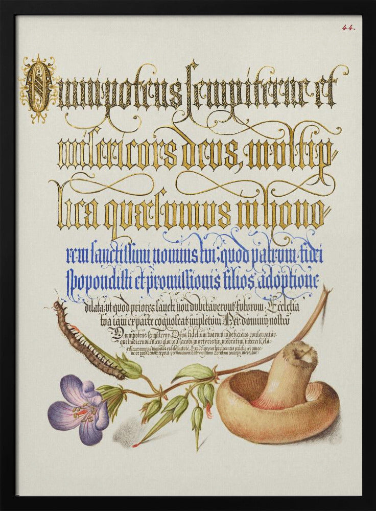 Mushroom Poster | Poster