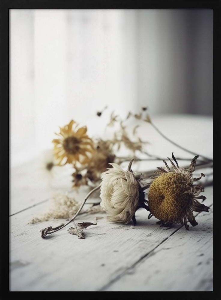 Faded Petals | Poster